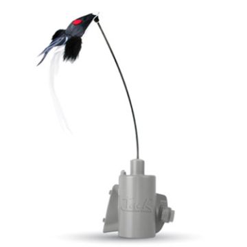 Foxpro - Jack 5 Decoy 